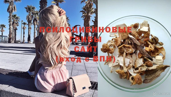 прущая мука Кулебаки