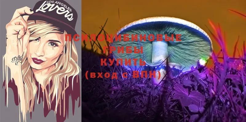 Галлюциногенные грибы Magic Shrooms Дудинка