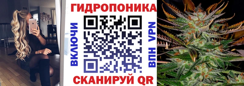 Бошки марихуана Bruce Banner  Дудинка 
